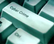 Cyber Crimes (3)