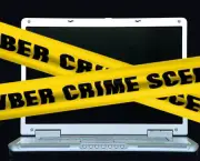 Cyber Crimes (5)