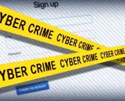 Cyber Crimes (6)
