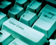 Cyber Crimes (10)