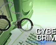 Cyber Crimes (13)