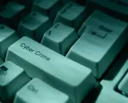 Cyber Crimes (16)
