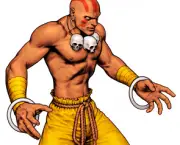 dan-hibiki-dhalsim-e-honda-fei-long-gou-hibiki-ken-e-ryu-2