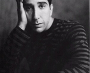 David Schwimmer 2