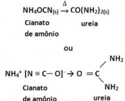 descoberta-da-ureia-3