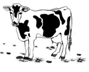 desenhos-de-animais-4