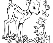 desenhos-de-animais-6