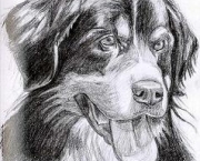 desenhos-de-animais-8