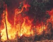 destruicao-da-natureza-1