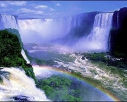 destruicao-da-natureza-15