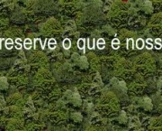 destruicao-da-natureza-3