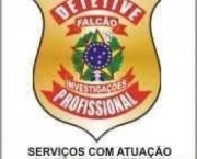 detetive-brasilia-1
