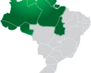 dialeto-mineiro-dialeto-nordestino-e-dialeto-nortista-5