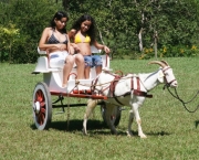 dicas-para-passar-ferias-em-hotel-fazenda-2