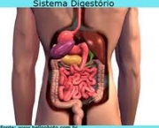 digestao-dos-alimentos-5