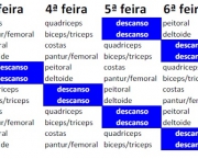 Divisão De Treino ABCDE Feminino (7)