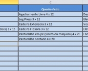 Divisão De Treino ABCDE Feminino (10)