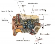 doencas-do-sistema-nervoso-20