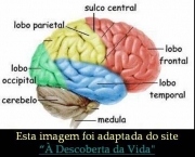 doencas-do-sistema-nervoso-21