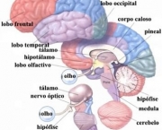 doencas-do-sistema-nervoso-9