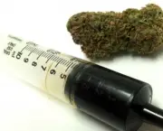 Doencas Tratadas Com Cannabis (4)