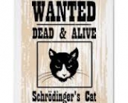 einstein-e-gato-de-schrodinger-5