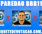 enquete-bbb11-13