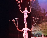 show-de-equilibrio-no-circo.jpg