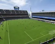 Estadios dos Times Brasileiros (9)