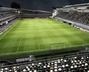 Estadios dos Times Brasileiros (18)