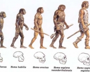 historia-da-evolucao-humana