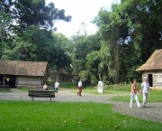 excursao-curitiba-6