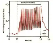 exercicios-para-afasia-17