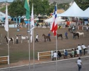 exposicao-agropecuaria-11