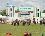 exposicao-agropecuaria-13