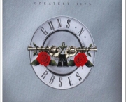 fa-sera-indenizado-por-atraso-em-show-de-guns-n-roses-11