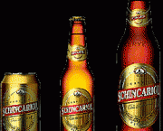 familias-de-cerveja-a-lagers-2
