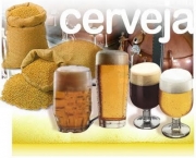 familias-de-cerveja-a-lagers-6