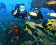 Foto Fernando de Noronha 11