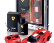 ferrari-em-miniatura-9