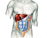 figado-inflamado-11