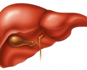 figado-inflamado-2