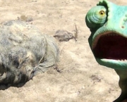 filme-rango-1