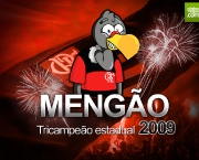 flamengo-8