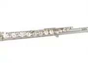 Flauta Transversal (1)