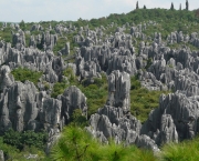 Floresta de Pedra de Shilin (3)