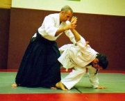 fotos-de-aikido-11