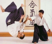 fotos-de-aikido-12