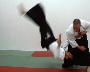 fotos-de-aikido-13