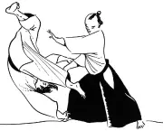 fotos-de-aikido-15